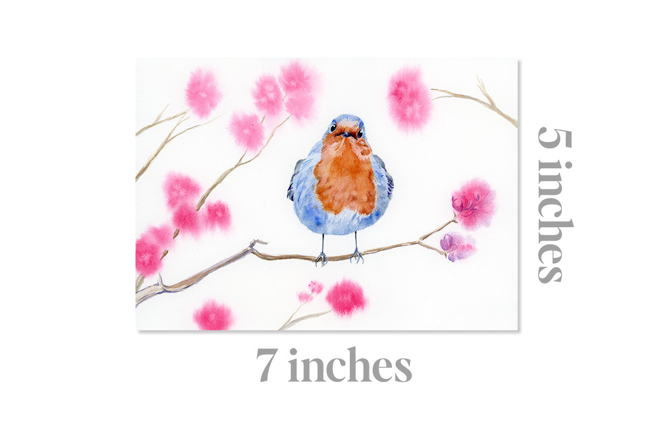 COMING SOON! Sassy Blue Bird