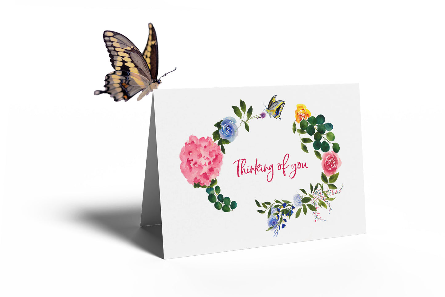 COMING SOON! Butterfly Wishes